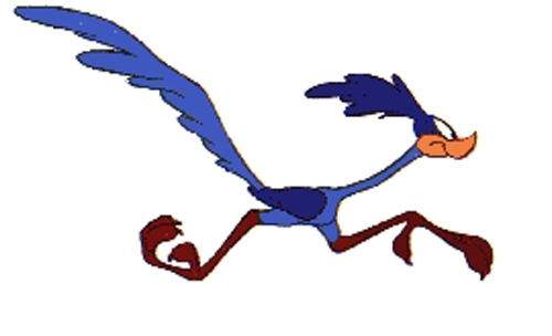 Roadrunner Running Cartoon - ClipArt Best