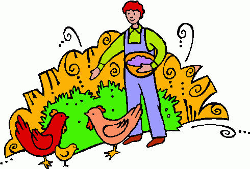 Pictures Of Chickens On A Farm | Free Download Clip Art | Free ...