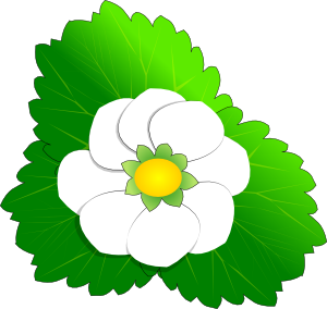 Strawberry Flower Clip Art - vector clip art online ...