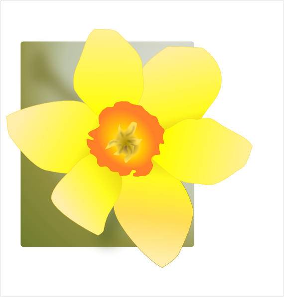 Vector Daffodil / Daffodil Free Vectors Download / 4Vector