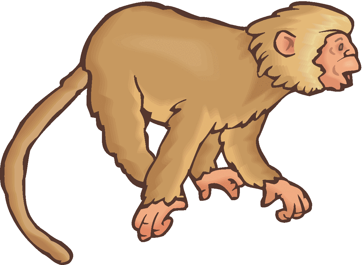 Monkey Images Clip Art