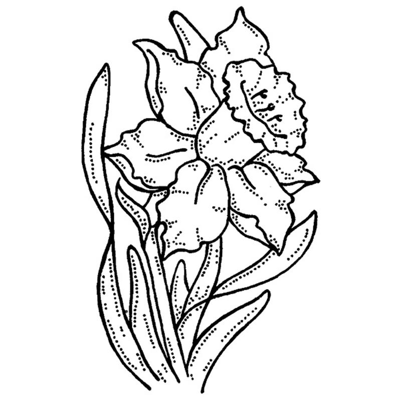 Daffodil Outline | Free Download Clip Art | Free Clip Art | on ...
