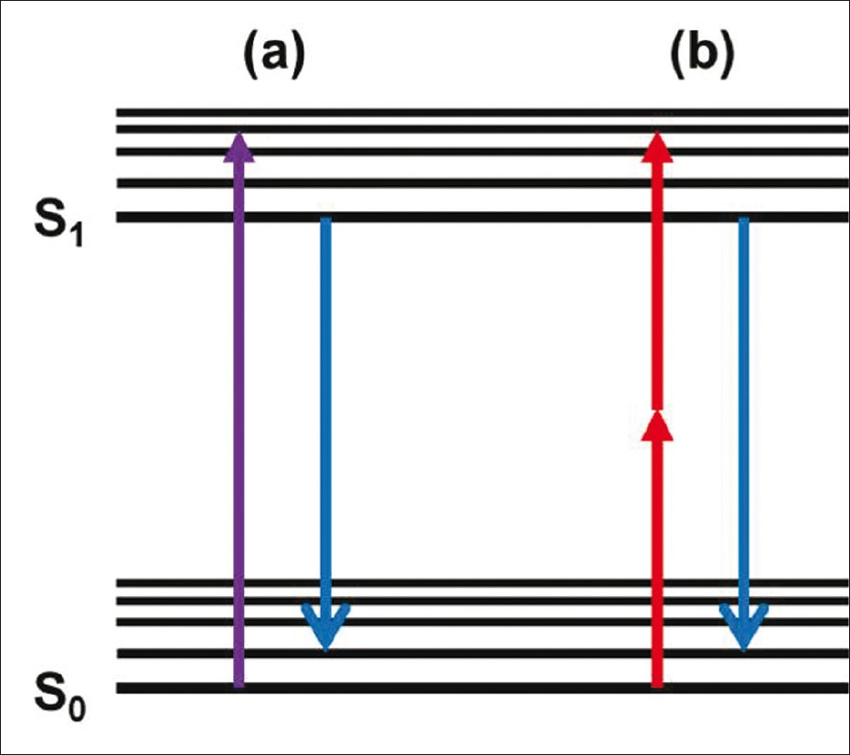 Review of advanced imaging techniques Chen Y, Liang CP, Liu Y ...