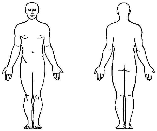 Blank Human Body Diagram - AoF.com
