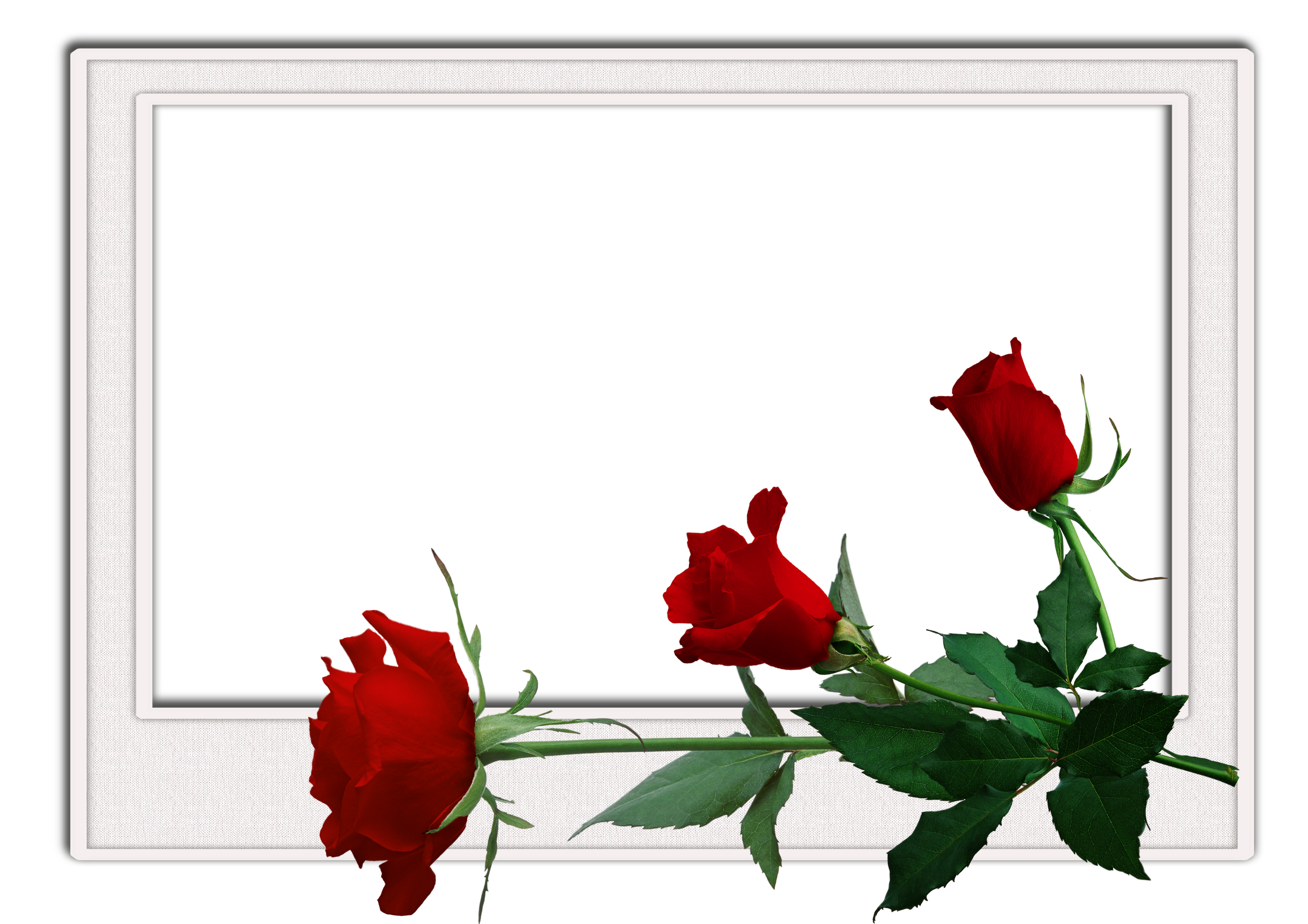 Flowers_frame (11).png?m=1345158000