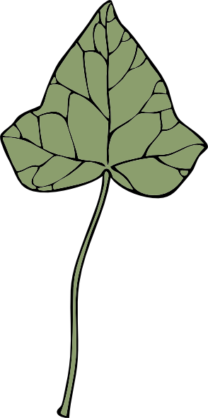 Ivy Leaves - ClipArt Best