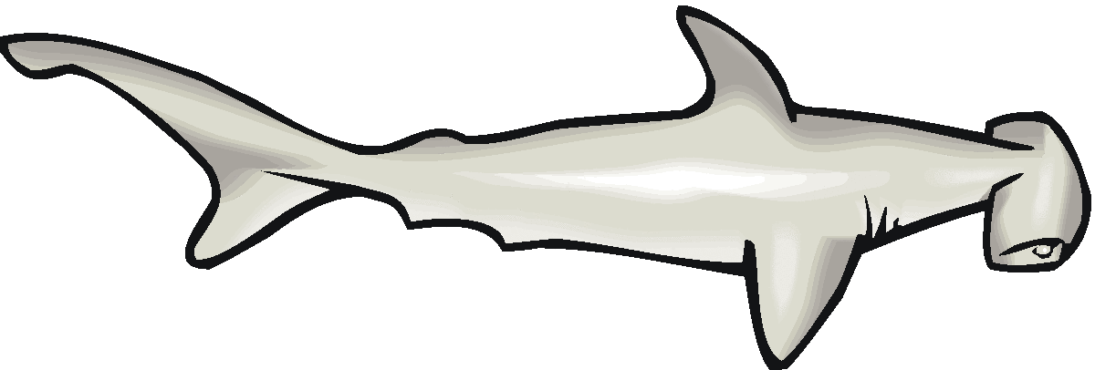 Shark Line Art | Free Download Clip Art | Free Clip Art | on ...