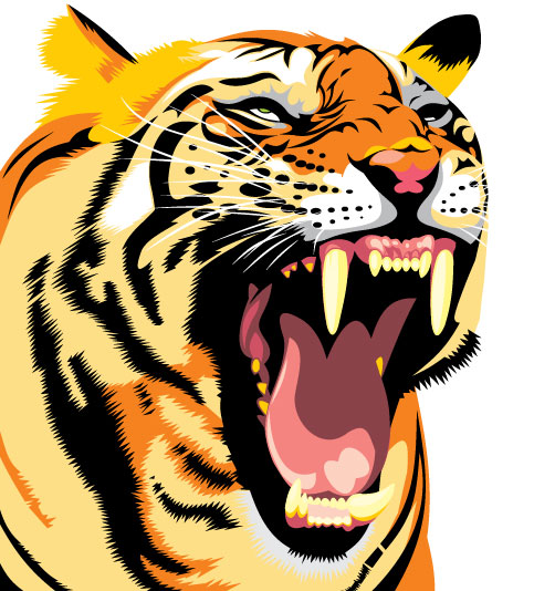Set of Tiger vector picture art 28 - Vector Animal free download