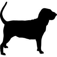 Bloodhound Clipart - ClipArt Best