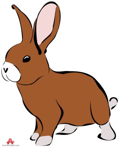 Image of rabbit clipart - Cliparting.com