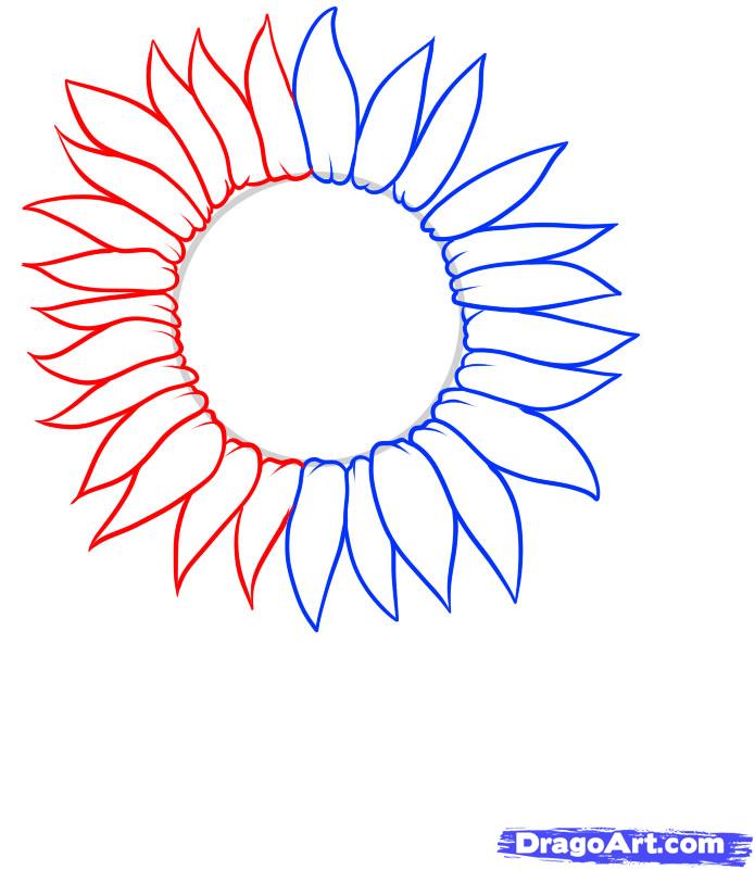 How to Draw a Sunflower, Step by Step, Flowers, Pop Culture, FREE ...