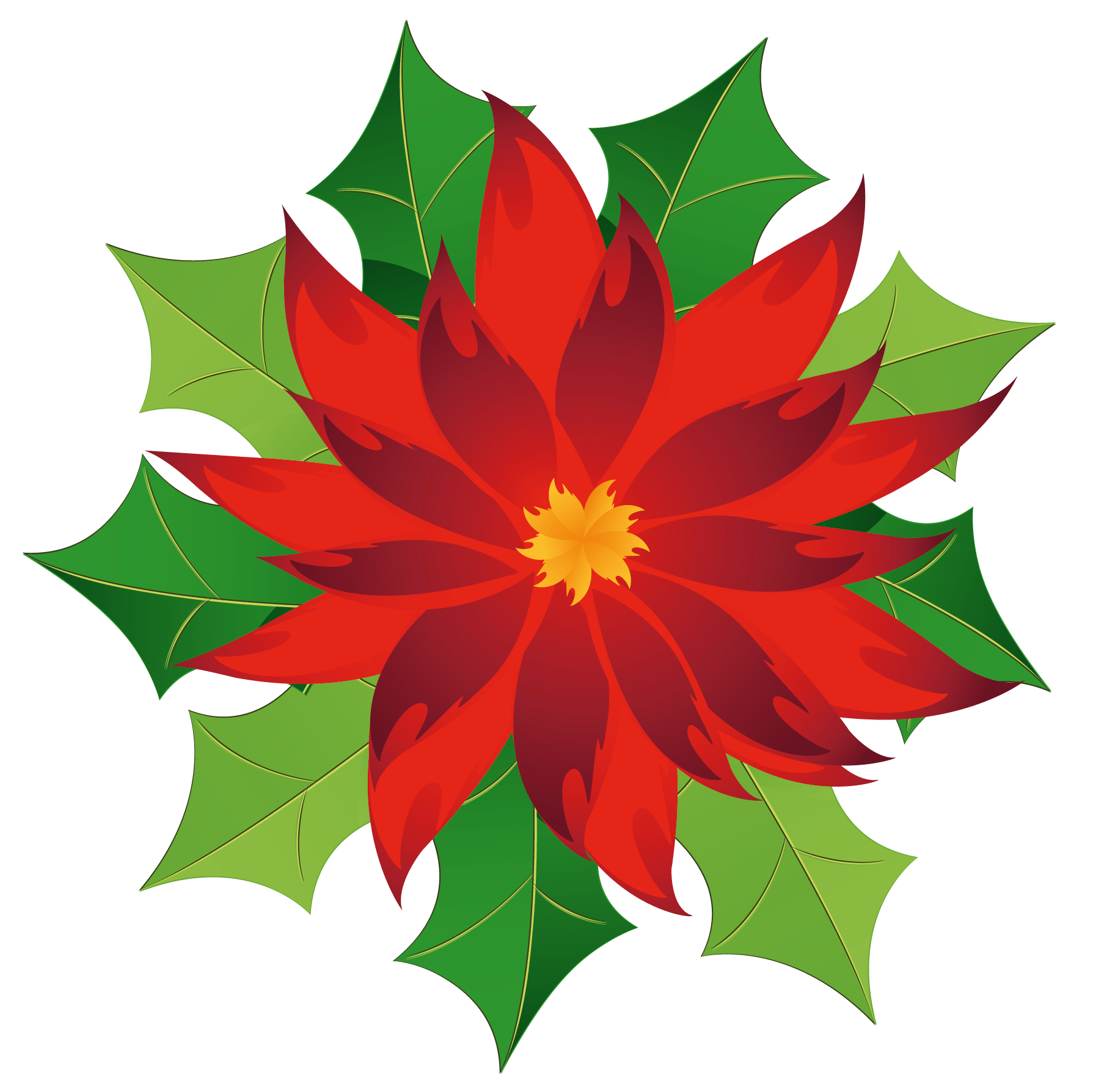 Christmas Poinsettia Clipart