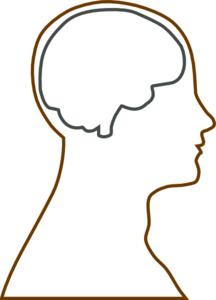 head-and-brain-outline-md.png - ClipArt Best - ClipArt Best