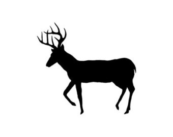 deer clipart