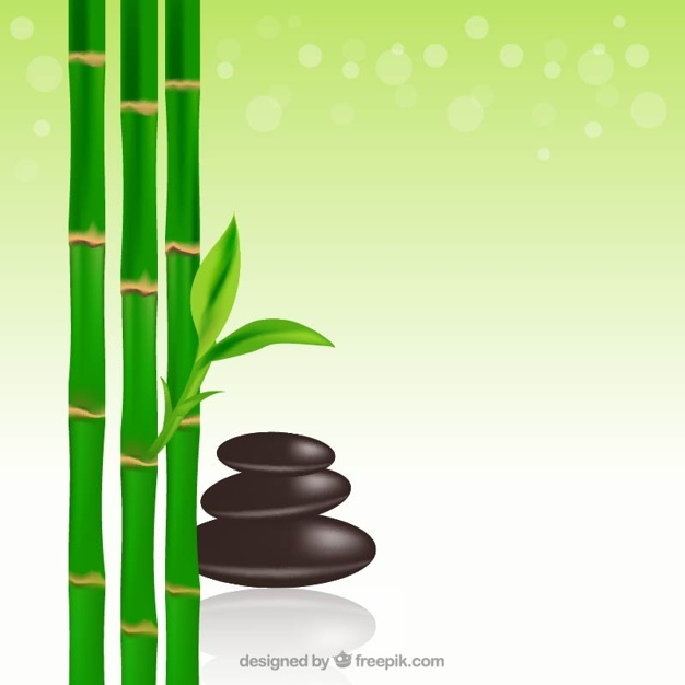 Bamboo Vectors, Photos and PSD files | Free Download