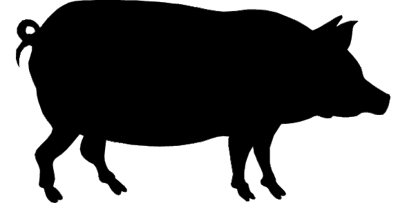 Pig Graphics Clipart - Free to use Clip Art Resource