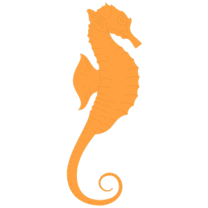 Seahorse clipart vector