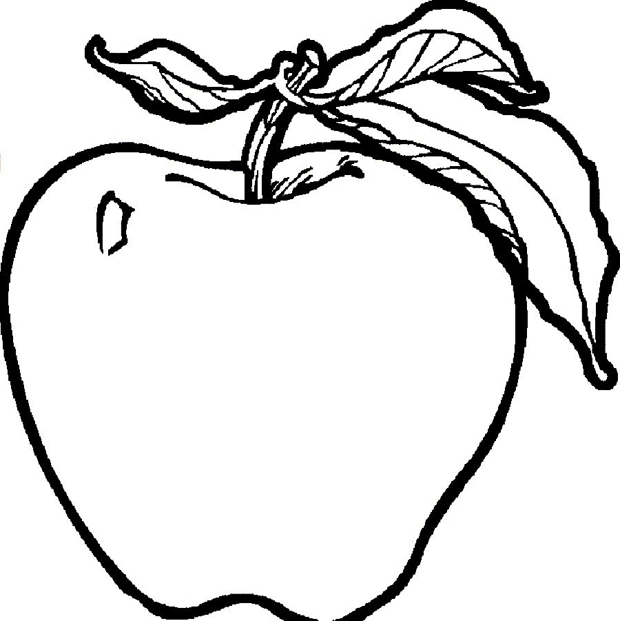 Apple Color Sheet. apple coloring pages apple tree coloringstar ...