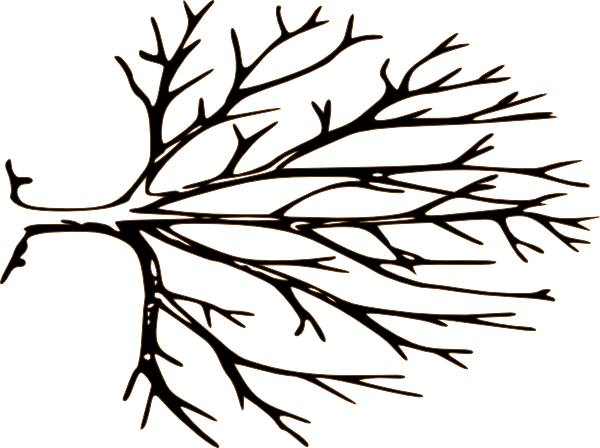 Simple Bare Tree Clipart - ClipArt Best - ClipArt Best