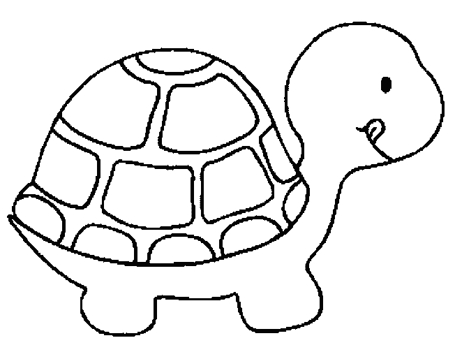 Line Drawings Turtle Coloring Sheets Fresh On Decoration Free ...