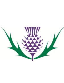 Thistle Clipart