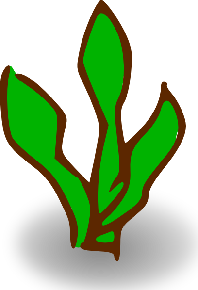 Seaweed clipart png