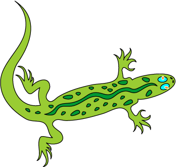 Lizards clipart