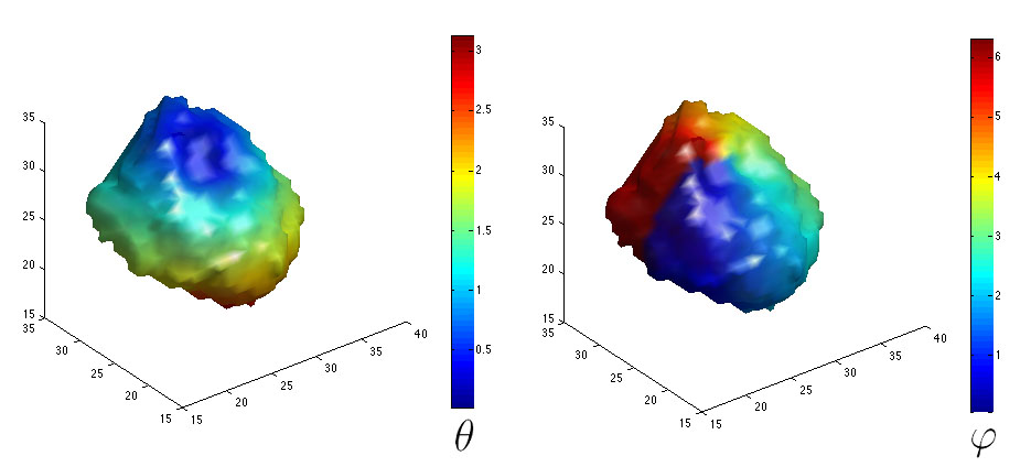 amygala surface modeling