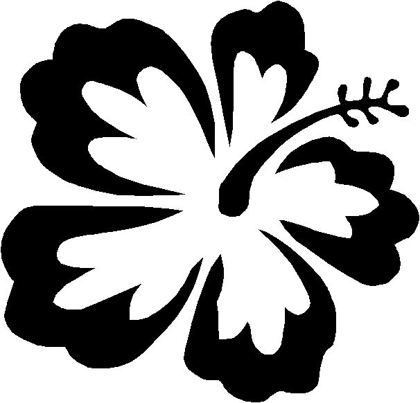 1000+ images about dibujos | Hawaiian flowers ...