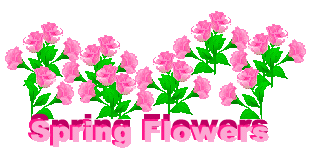 Free Spring Borders | Free Download Clip Art | Free Clip Art | on ...