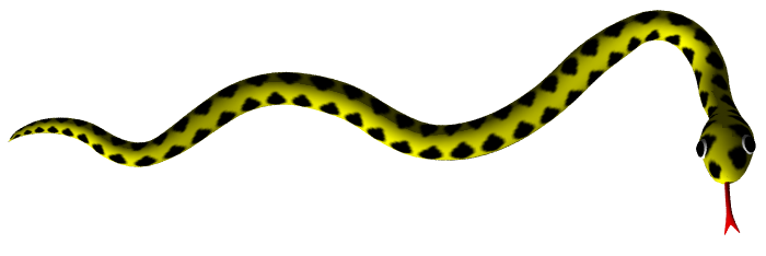 Snake Animated Images