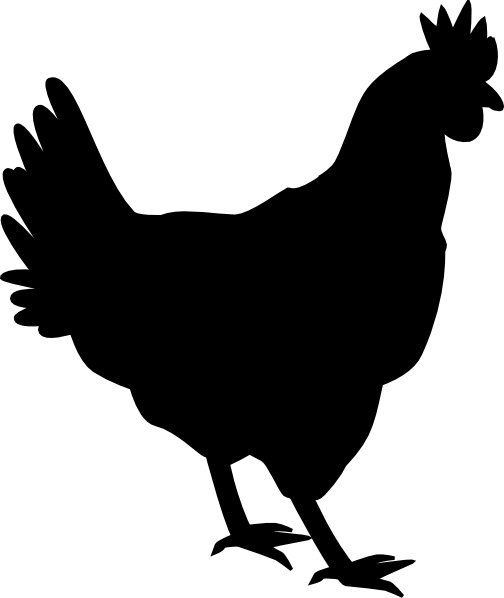 Chicken Outline - ClipArt Best