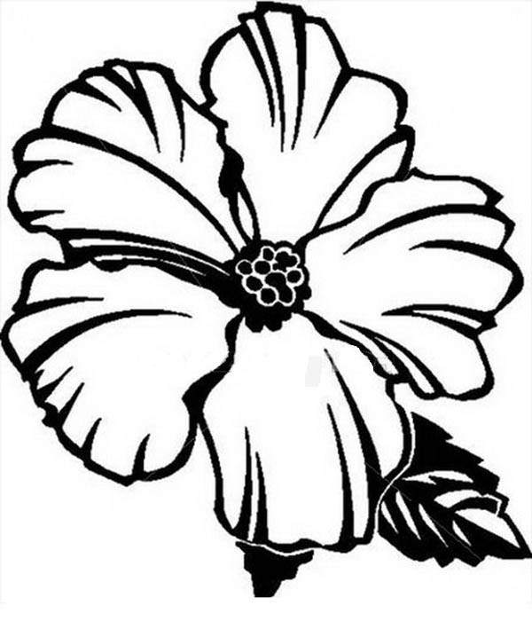 Hawaiian Flower Coloring Page Page 1