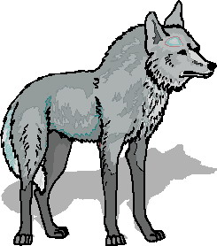 Grey wolf clipart