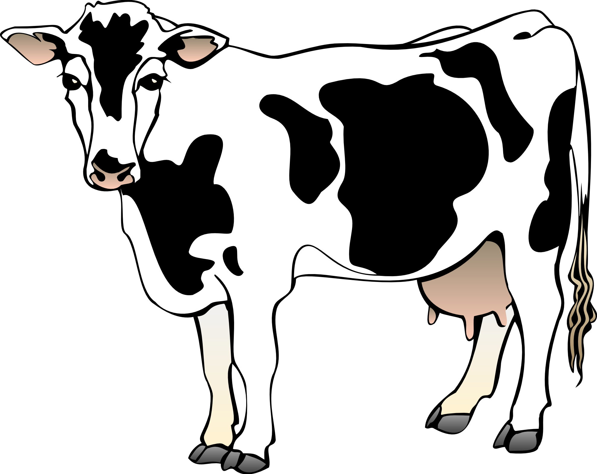 Cow Clip Art free -.