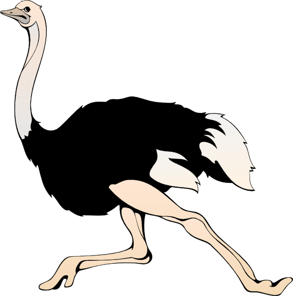 Ostrich Clipart Black And White - Free Clipart Images