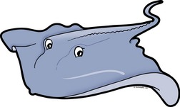 Sting ray clipart