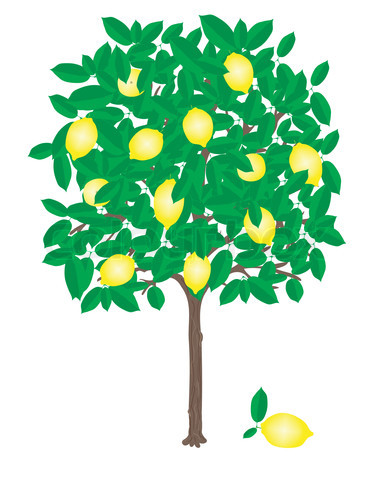 Mango Tree Clipart - Free Clipart Images