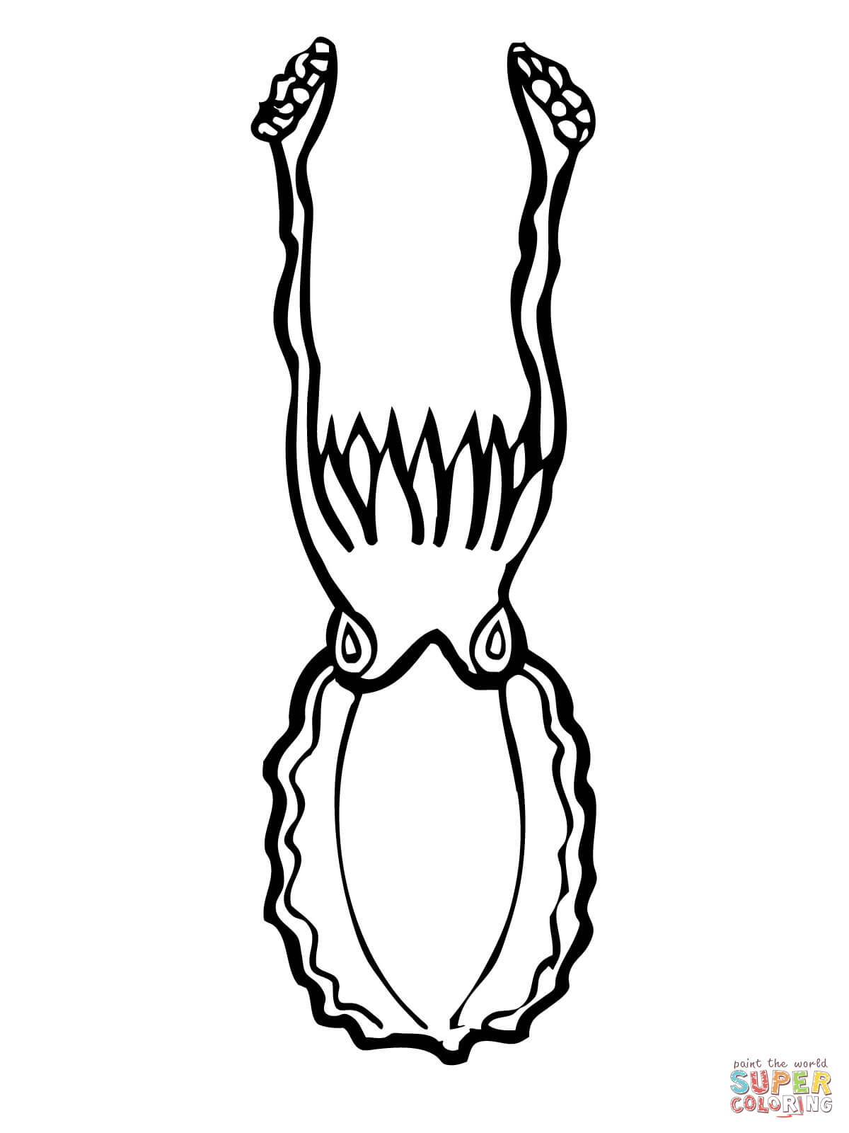Cuttlefish coloring pages | Free Coloring Pages