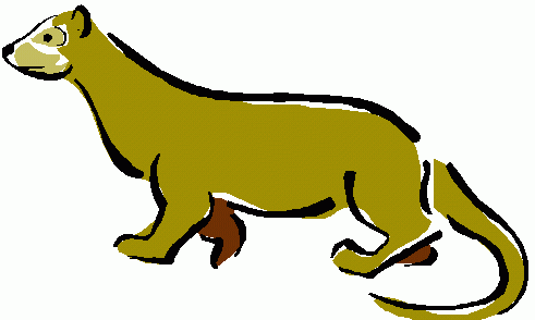 Ferret Clip Art Images - Free Clipart Images