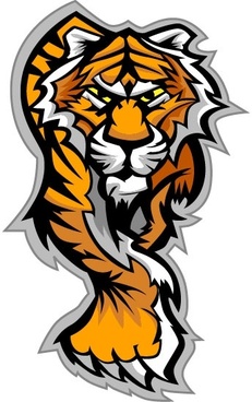 Tiger head free vector download (1,666 Free vector) for commercial ...