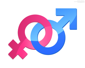 Male and female symbols clip art