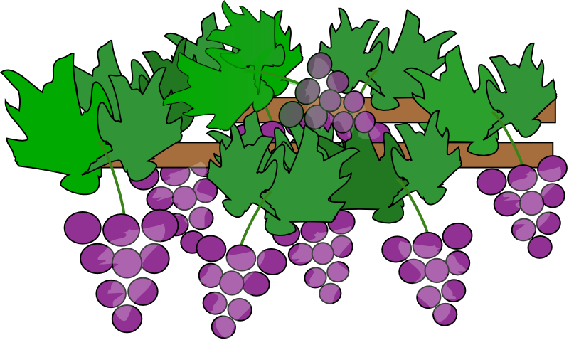 Animated grapes clipart
