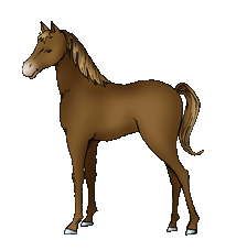 Horses Doll (Cartoon Doll Maker)