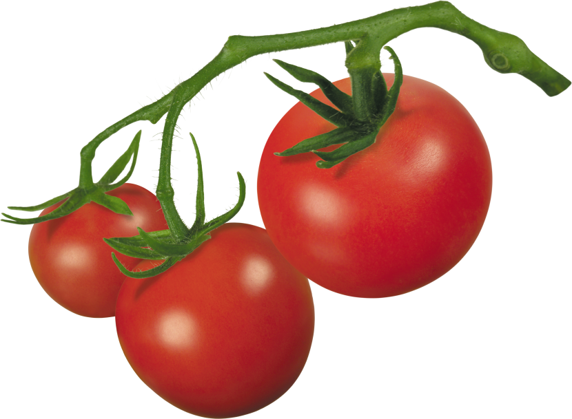 Best Tomato Clipart #17605 - Clipartion.com