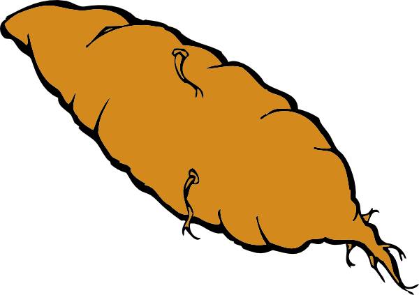 Yam Clipart