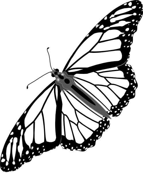 Monarch Butterfly Bw No Shadow Clip Art - vector clip ...