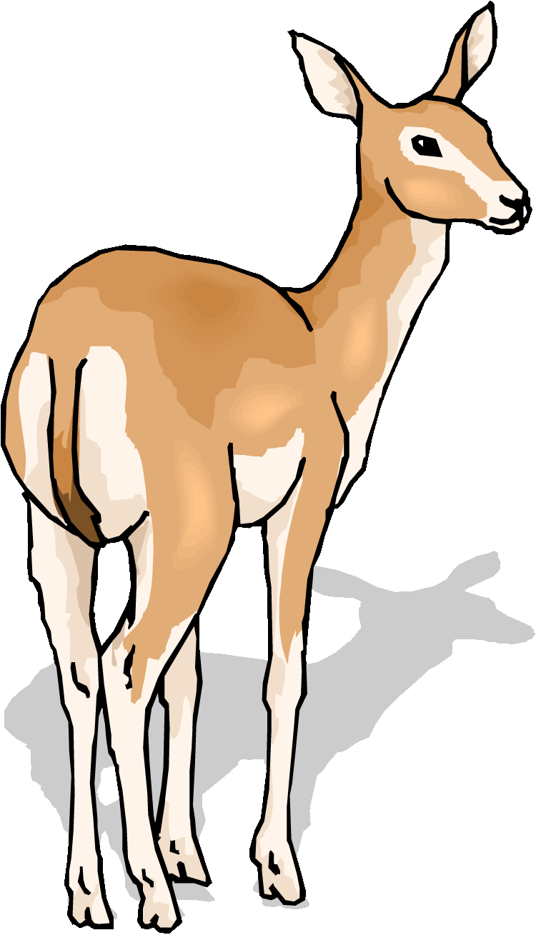 Deer clip art free