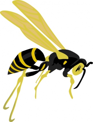 Hornet Mascot Clipart | Free Download Clip Art | Free Clip Art ...