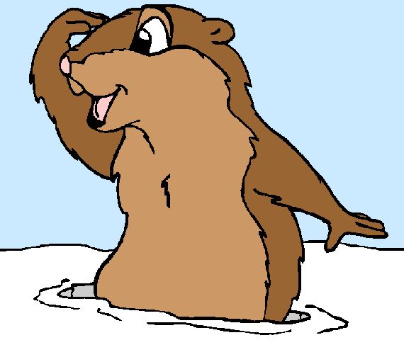 1000+ images about Morris the Serious Groundhog